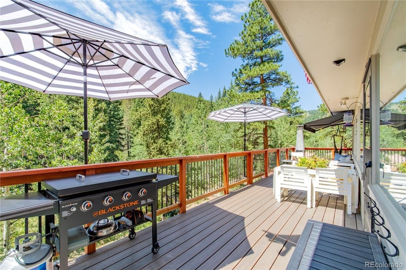 7992 County Road 43, Bailey, CO 80421