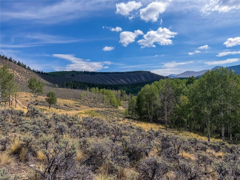 380 Mallard Rd Lot 93, Leadville, CO 80461