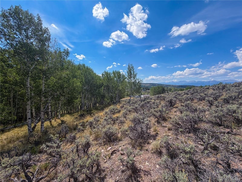 380 Mallard Rd Lot 93, Leadville, CO 80461