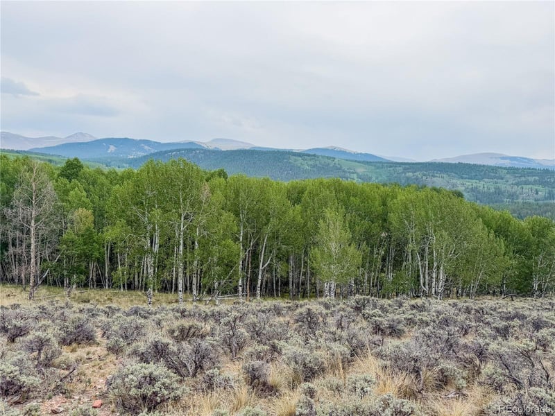 380 Mallard Rd Lot 93, Leadville, CO 80461