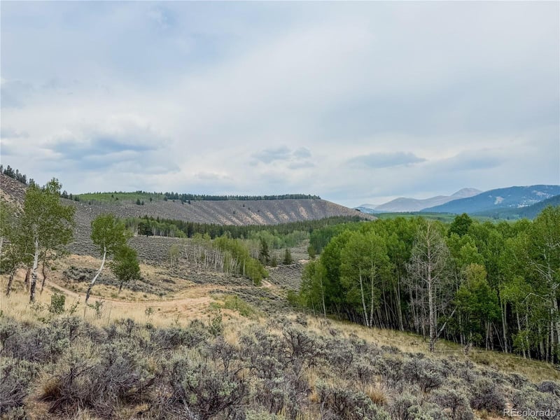 380 Mallard Rd Lot 93, Leadville, CO 80461