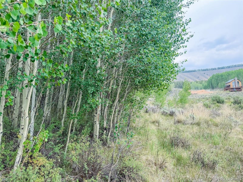 380 Mallard Rd Lot 93, Leadville, CO 80461