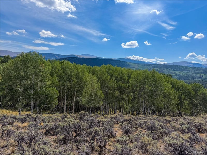 380 Mallard Rd Lot 93, Leadville, CO 80461