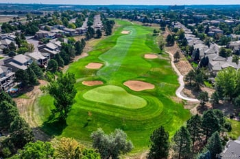 3164 Greensborough Dr, Highlands Ranch, CO 80129