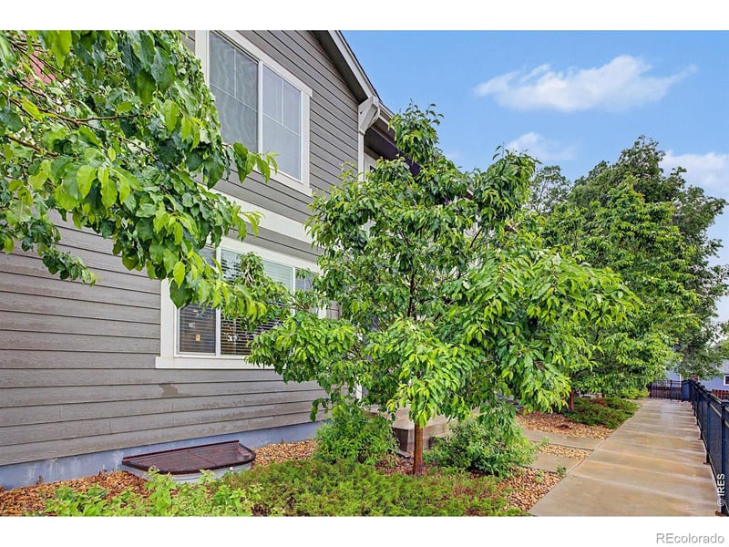 3502 Big Ben Dr #D, Fort Collins, CO 80526