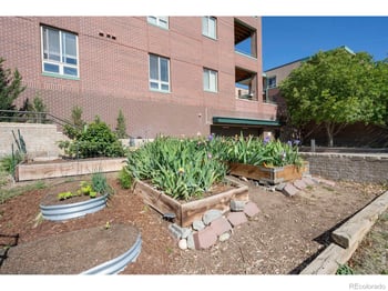 1053 W Century Dr #101, Louisville, CO 80027