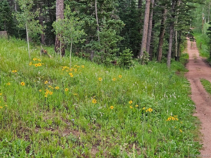 648 Westcliffe Dr, Rye, CO 81069