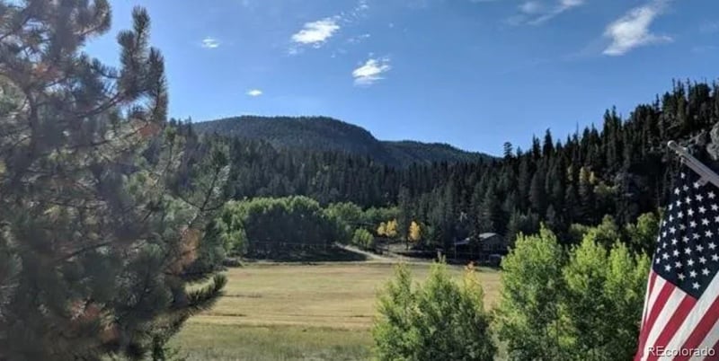 744 Whale Dr, Lake George, CO 80827