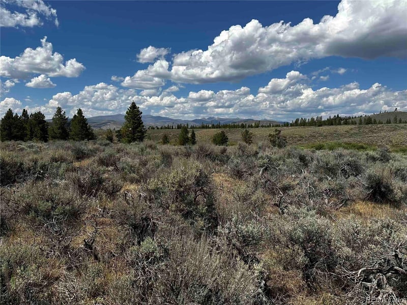 1028 Cty Rd 6236n / Meadow Pw Lot 55, Granby, CO 80446