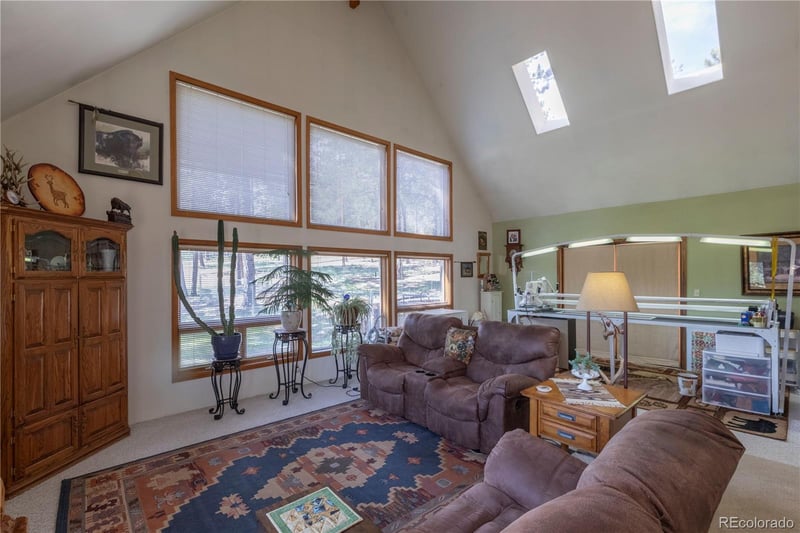 187 Arrowrock Cir, Florissant, CO 80816