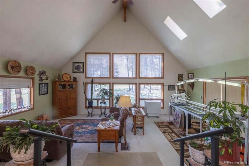 187 Arrowrock Cir, Florissant, CO 80816