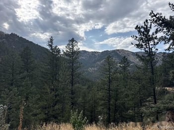 397 Glendale Gulch Rd, Jamestown, CO 80455