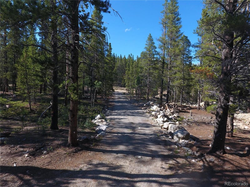 248 Venture Rd, Fairplay, CO 80440