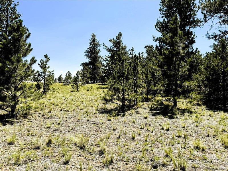 127 Boulder Rd Lot 11, Hartsel, CO 80449