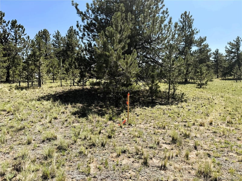 127 Boulder Rd Lot 11, Hartsel, CO 80449