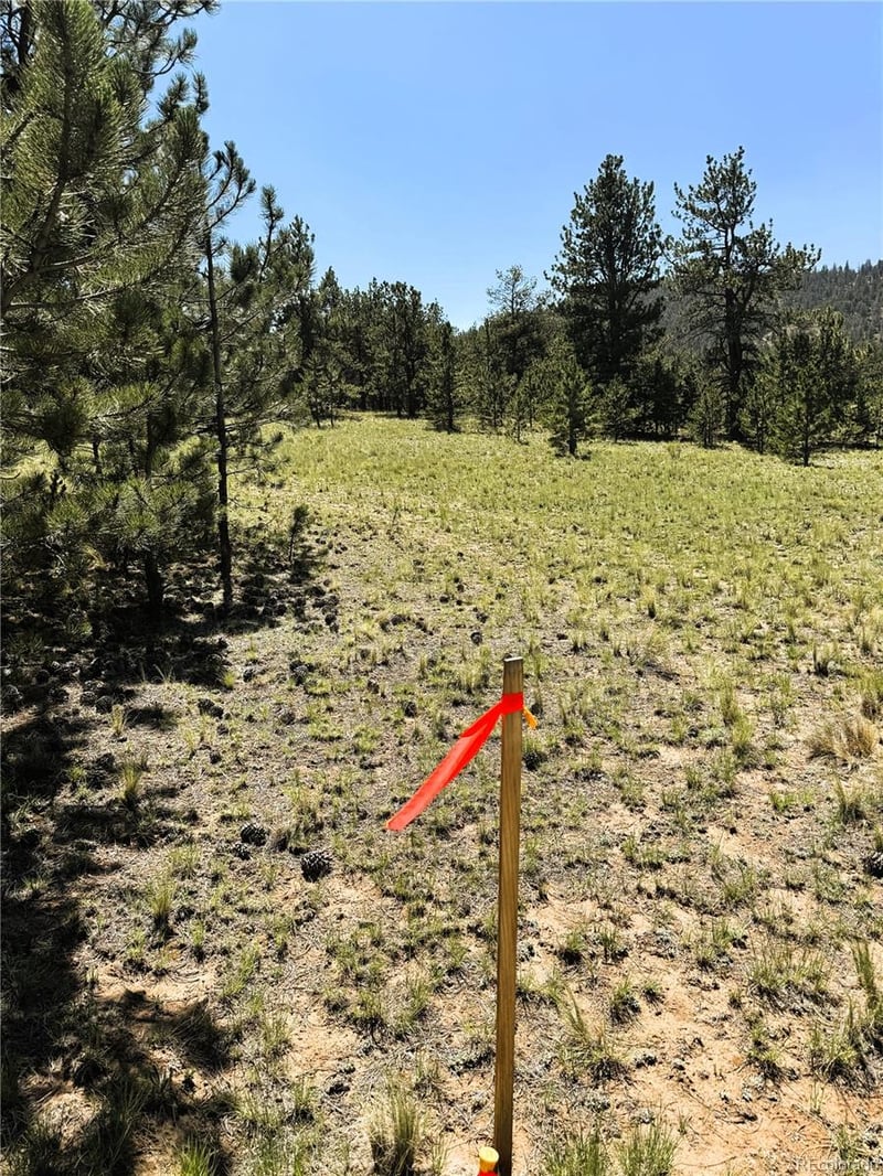 127 Boulder Rd Lot 11, Hartsel, CO 80449