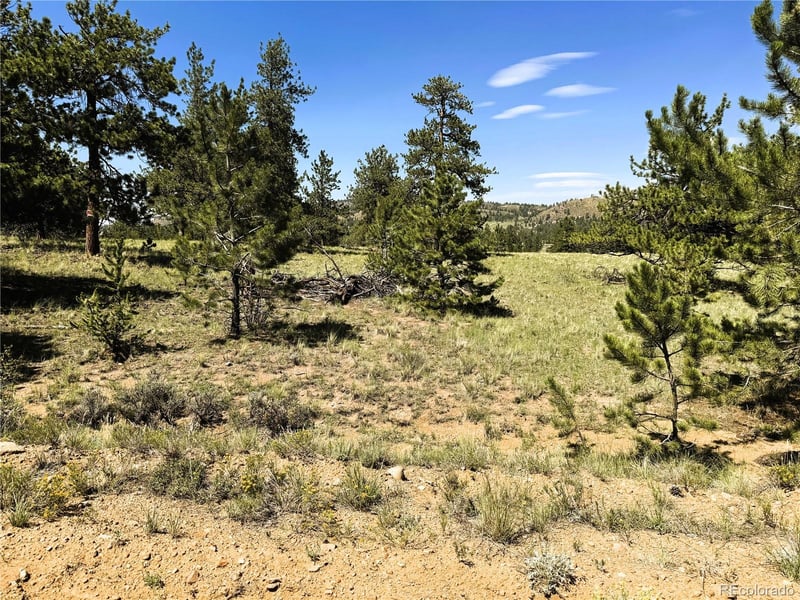 127 Boulder Rd Lot 11, Hartsel, CO 80449