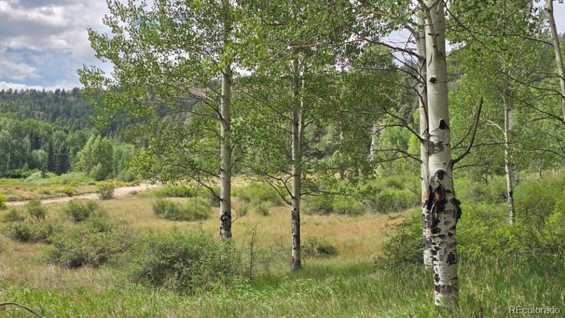 Lots 6276 - 6277 Malcolm And Shioshita Rd, San Luis, CO 81152