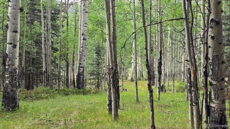 Lots 6276 - 6277 Malcolm And Shioshita Rd, San Luis, CO 81152