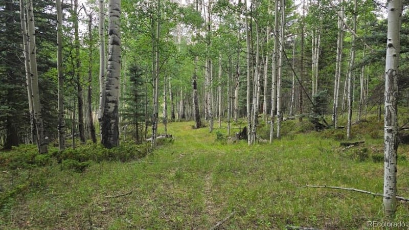 Lots 6276 - 6277 Malcolm And Shioshita Rd, San Luis, CO 81152