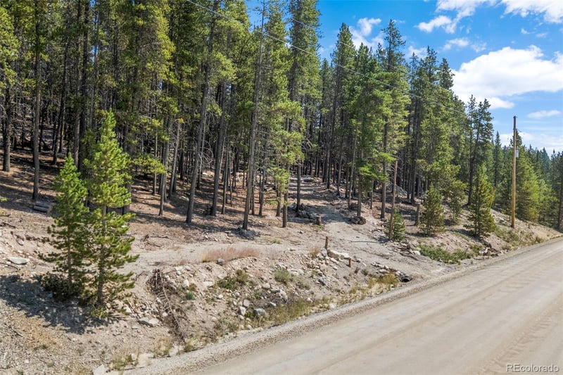 3075 Nugget Rd Lot 0479, Fairplay, CO 80440