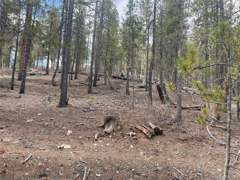 105 Parry Peak Dr, Twin Lakes, CO 81251