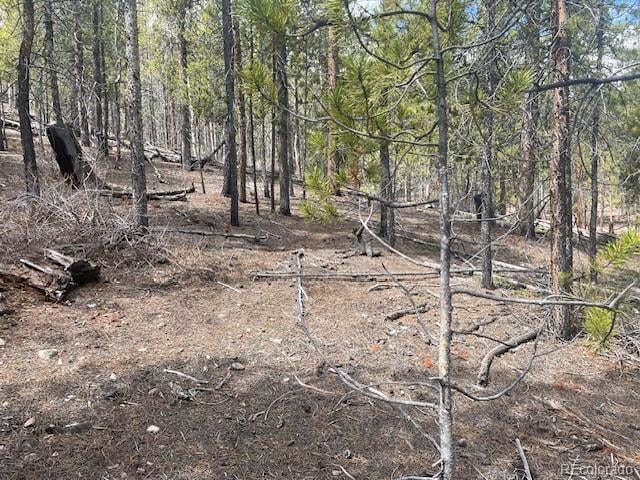 105 Parry Peak Dr, Twin Lakes, CO 81251