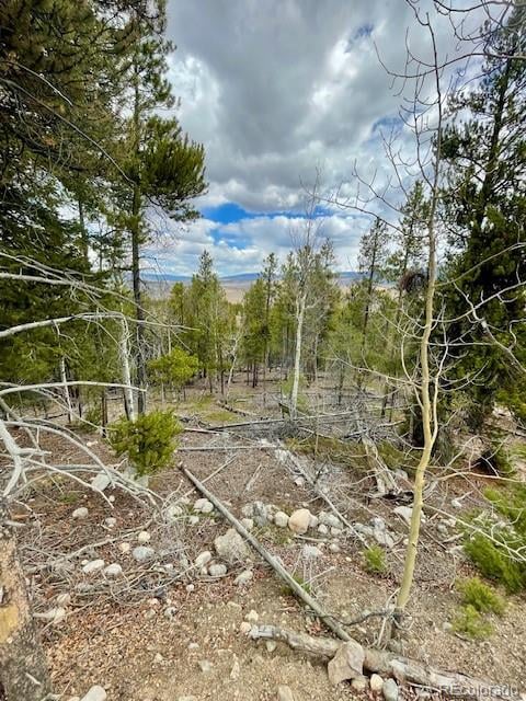 105 Parry Peak Dr, Twin Lakes, CO 81251