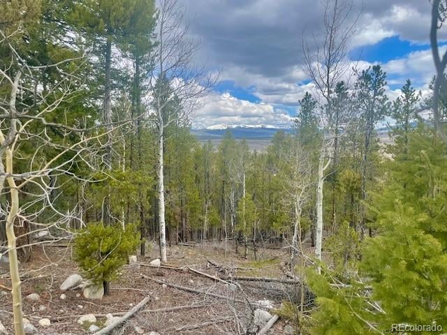 105 Parry Peak Dr, Twin Lakes, CO 81251