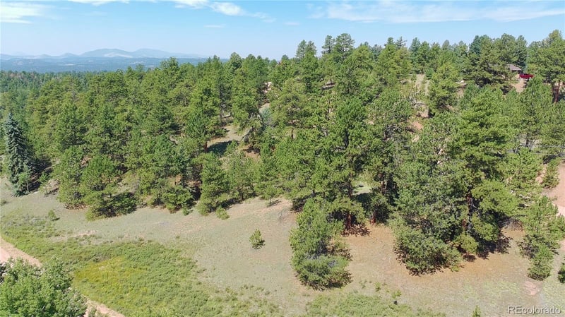 787 Spring Valley Ln, Florissant, CO 80816