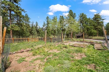 1231 Nova Rd, Pine, CO 80470