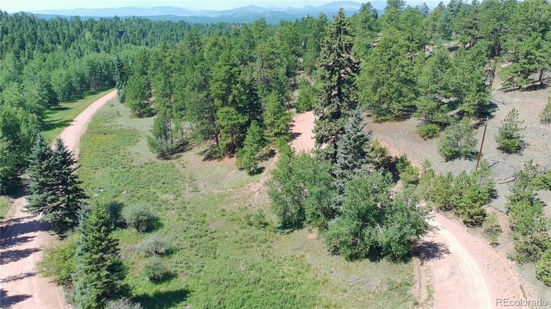 719 Spring Valley Ln, Florissant, CO 80816