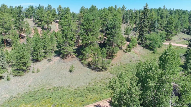719 Spring Valley Ln, Florissant, CO 80816