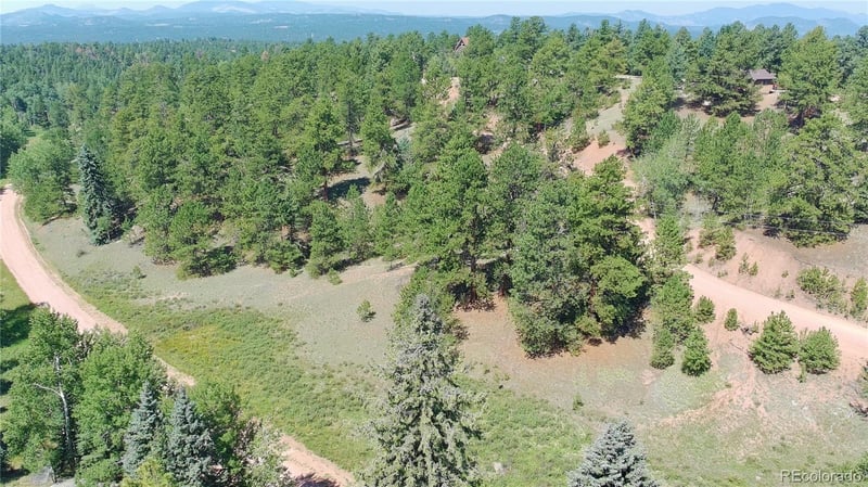 719 Spring Valley Ln, Florissant, CO 80816