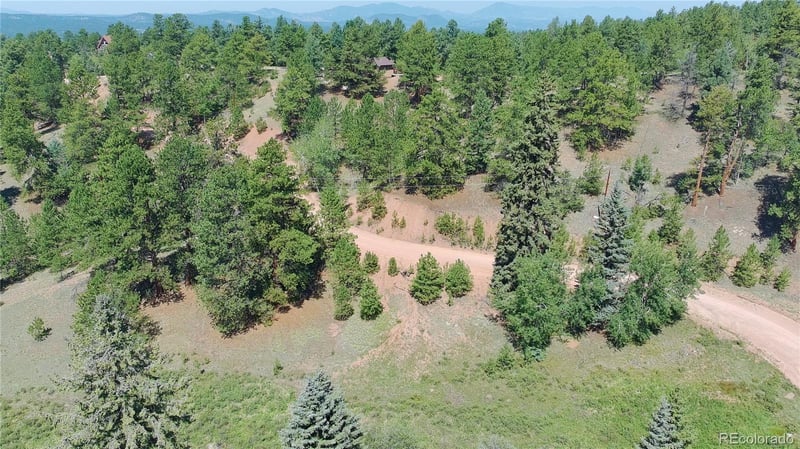 719 Spring Valley Ln, Florissant, CO 80816