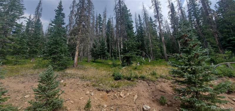 Lot 6542 Schlueter Rd Lot 6542, Fort Garland, CO 81133