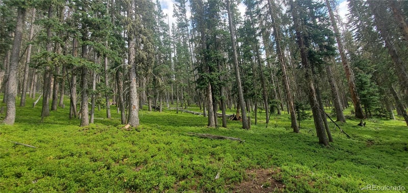 Lot 6542 Schlueter Rd Lot 6542, Fort Garland, CO 81133