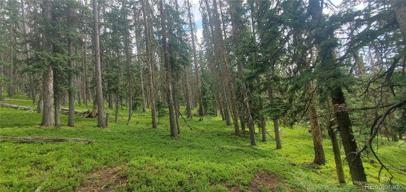 Lot 6542 Schlueter Rd Lot 6542, Fort Garland, CO 81133