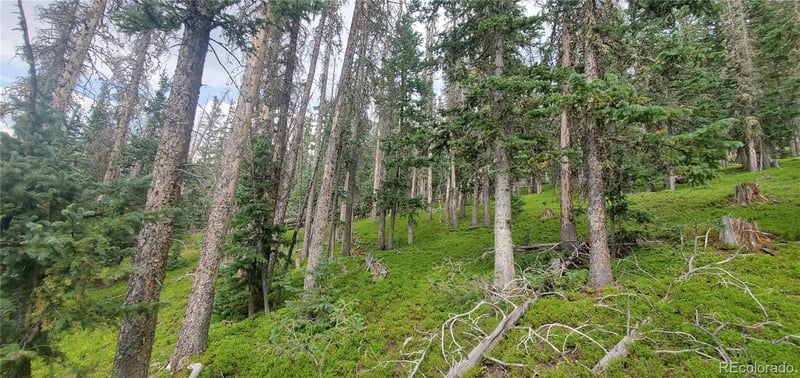Lot 6542 Schlueter Rd Lot 6542, Fort Garland, CO 81133