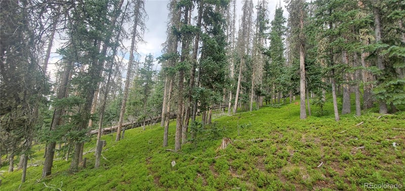 Lot 6542 Schlueter Rd Lot 6542, Fort Garland, CO 81133