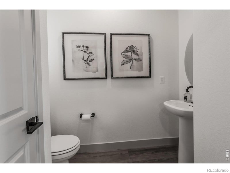 5349 Blainville St, Timnath, CO 80547
