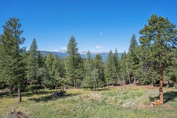 5129 S Elk Ridge Rd, Evergreen, CO 80439