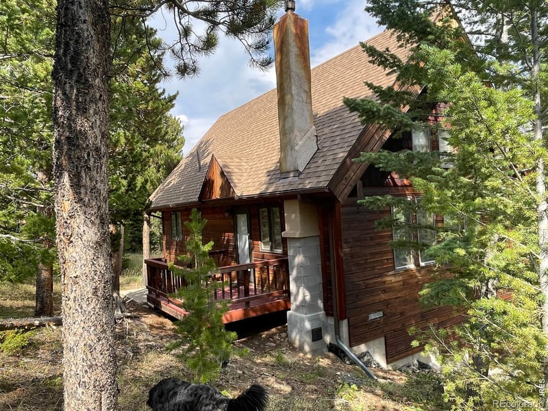 785 Skinner Rd, Allenspark, CO 80510
