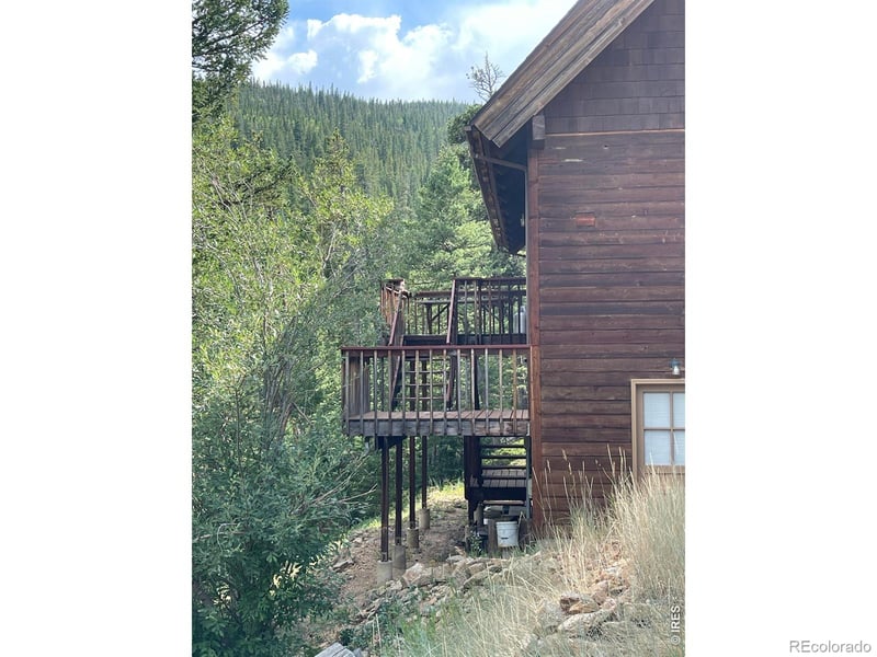 785 Skinner Rd, Allenspark, CO 80510