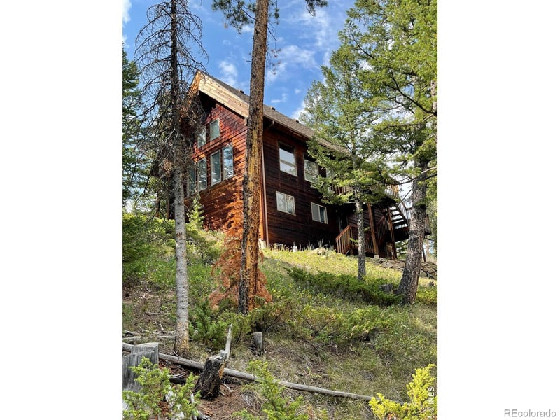785 Skinner Rd, Allenspark, CO 80510