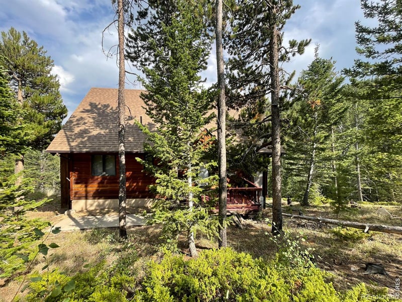 785 Skinner Rd, Allenspark, CO 80510