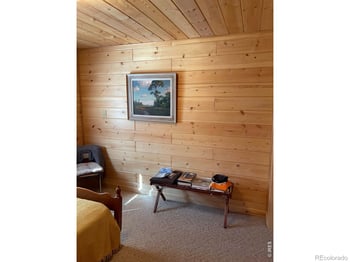 785 S Skinner Rd, Allenspark, CO 80510