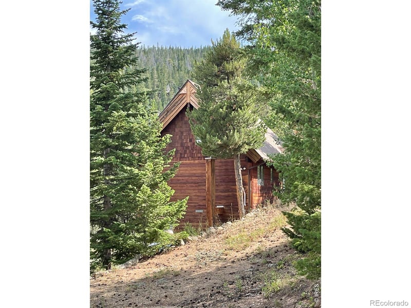 785 Skinner Rd, Allenspark, CO 80510