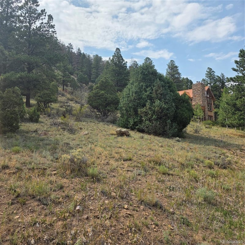 1139 Rio Grande Club Trl Lot 60, South Fork, CO 81154