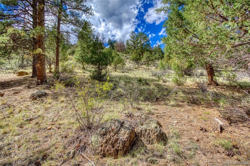 1139 Rio Grande Club Trl Lot 60, South Fork, CO 81154